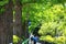 Scenery of sidewalk surrounded by green