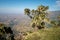 Scenery in the Simien Mountains Nationalpark in northern Ethiopia