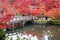 Scenery Stone bridge and pond with colorful leaves in Eikando temple, beautiful nature garden in Autumn foliage season, landmark
