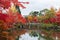 Scenery Stone bridge and pond with colorful leaves in Eikando temple, beautiful nature garden in Autumn foliage season, landmark