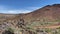 Scenery in Teide National Park is on Tenerife