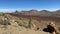 Scenery in Teide National Park is on Tenerife