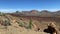 Scenery in Teide National Park is on Tenerife