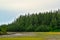 The scenery of the tropical mangrove forest in asia.