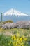 The scenery of the Urui river in springtime that plenty of sakura blooming and yellow flowers in Shizuoka, Japan