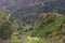 Scenery valley in Spain.Nature landscape. Cactus,vegetation and sunset panorama in Tenerife