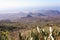 Scenery valley in Spain. Travel adventures and outdoor lifestyle. Cactus,vegetation and sunset panorama in Tenerife