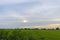 The scenery of the vast rice field with the evening sky in the background