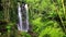 Scenery video Natural Waterfall Munduk with clean cool water hidden in tropical jungle island Bali