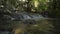 Scenery of waterfall under the shade of trees in rain forest with fresh water flowing from the mountain.