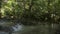 Scenery of waterfall under the shade of trees in rain forest with fresh water flowing from the mountain.