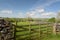 Scenery in Wharfedale near Grassington, Yorkshire Dales