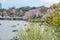 The scenery of yellow flowers in Chidorigafuchi park with the background of blooming sakura and people rowing the boat in Tokyo,