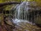 Scenes along appalachian trail in smoky mountains north carolina