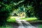 Scenes at botany bay plantation near charleston south carolina