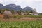 Scenes of Vinales, Cuba