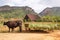 Scenes of Vinales, Cuba