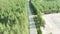 Scenic aerial drone footage of professional cyclist riding straight road through pine tree and spruce forest. Athletic training or