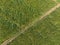 Scenic aerial view of flower and grass in agriculture field.Aerial rural landscape view of country road with meadow grass.drone
