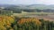 Scenic aerial view of picturesque autumn countryside landscape with straight road between yellow trees