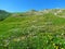 Scenic alpine slope under Rodica