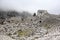Scenic amazing picturesque view to ancient theatre of Termessos , Turkey in the low clouds