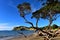 Scenic Amy Bay at Shakespear Regional Park