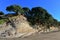 Scenic Amy Bay at Shakespear Regional Park