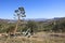 Scenic Andalucian landscape under a blue sky