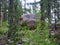 Scenic Arapaho National Forest Near St. Mary`s Glacier, Colorado