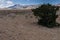 Scenic of the arid Florida Mountains , southwest New Mexico