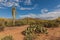 Scenic Arizona Desert Landscape