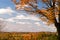 Scenic autumn foliage Maine