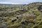 Scenic autumn green lava fields near Fjadrargljufur  Canyon in Iceland. Green  moss on volcanic lava stones.  Unique lava fields