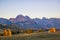 Scenic autumn landscape in the mountains with backlighted yellow larch, Alpe di Siusi, Dolomite Alps, Italy