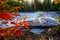 Scenic Autumn Michigan Park Background