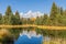 Scenic Autumn Reflection Landscape in the Tetons