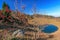 Scenic autumn sunny day blue sky landscape of Cheshe mountain lake and snowball tree on Chernogor Mountain in West Caucasus