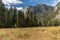 A Scenic Autumn View, Yosemite, Ca