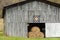 Scenic barn with hay bales and quilt design.