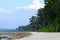 Scenic and Beautiful Stony Beach with Littoral Forest with Tall Sea Mohua Trees - Laxmanpur, Neil Island, Andaman Nicobar, India