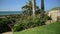 Scenic Beautiful view thru flowers green plants agave aloe vera San Clemente Pier in Linda Lane Park West Coast