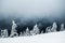 Scenic beautiful winter landscape with snow covered pine trees