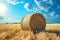 Scenic beauty Field with hay bale set against a blue sky