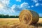 Scenic beauty Field with hay bale set against a blue sky