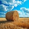 Scenic beauty Field with hay bale set against a blue sky