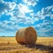 Scenic beauty Field with hay bale set against a blue sky