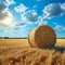 Scenic beauty Field with hay bale set against a blue sky