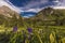 Scenic beauty in summer spring of wildflowers and mountains, Yankee Boy Basin, Ouray Colorado