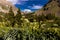 Scenic beauty in summer spring of wildflowers and mountains, Yankee Boy Basin, Ouray Colorado